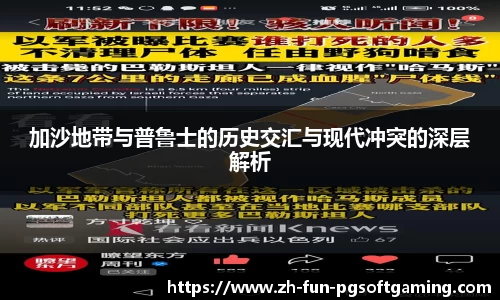 加沙地带与普鲁士的历史交汇与现代冲突的深层解析