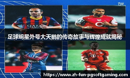 足球明星外号大天鹅的传奇故事与辉煌成就揭秘
