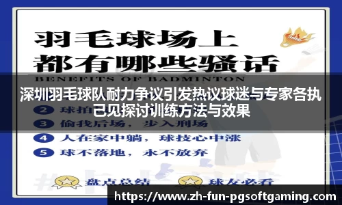 深圳羽毛球队耐力争议引发热议球迷与专家各执己见探讨训练方法与效果